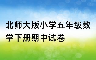 北師大版小學五年級數學下冊期中試卷