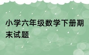小學(xué)六年級(jí)數(shù)學(xué)下冊(cè)期末試題