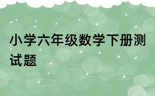 小學(xué)六年級數(shù)學(xué)下冊測試題