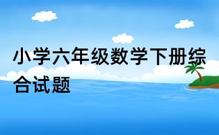 小學(xué)六年級(jí)數(shù)學(xué)下冊(cè)綜合試題