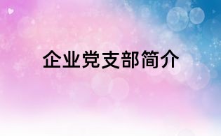 企業(yè)黨支部簡介