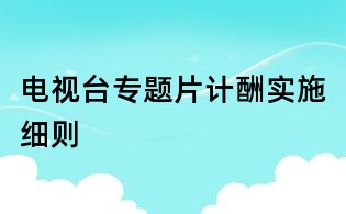 電視臺專題片計酬實施細則