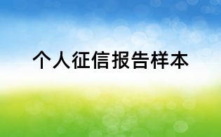 個人征信報告樣本