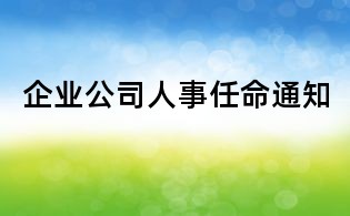 企業(yè)公司人事任命通知