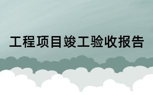 工程項(xiàng)目竣工驗(yàn)收?qǐng)?bào)告