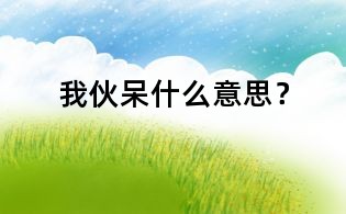 我伙呆什么意思？