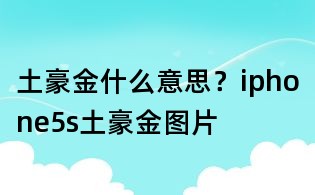 土豪金什么意思?iphone5s土豪金圖片