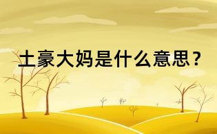 土豪大媽是什么意思?
