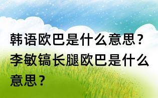 韓語歐巴是什么意思?李敏鎬長腿歐巴是什么意思?