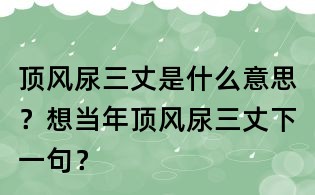 頂風(fēng)尿三丈是什么意思?想當(dāng)年頂風(fēng)尿三丈下一句?