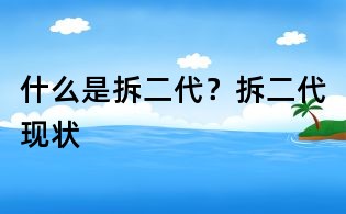 什么是拆二代?拆二代現(xiàn)狀