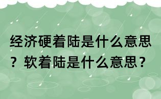 經濟硬著陸是什么意思？軟著陸是什么意思？