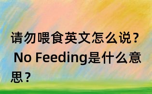 請(qǐng)勿喂食英文怎么說(shuō)? No Feeding是什么意思?