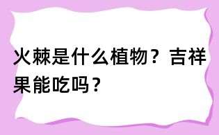 火棘是什么植物?吉祥果能吃嗎?