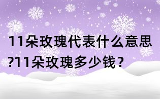 11朵玫瑰代表什么意思?11朵玫瑰多少錢？