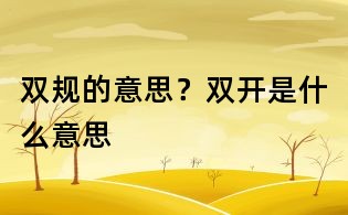 雙規(guī)的意思？雙開是什么意思