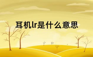 耳機(jī)lr是什么意思