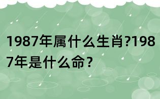 1987年屬什么生肖?1987年是什么命？