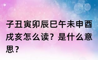 子丑寅卯辰巳午未申酉戌亥怎么讀?是什么意思?