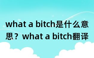 what a bitch是什么意思？what a bitch翻譯