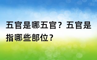 五官是哪五官？五官是指哪些部位？