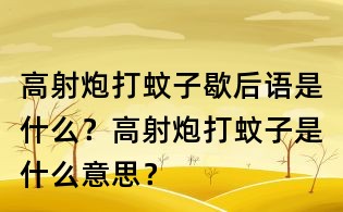 高射炮打蚊子歇后語是什么?高射炮打蚊子是什么意思?