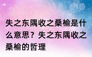 失之東隅收之桑榆是什么意思？失之東隅收之桑榆的哲理