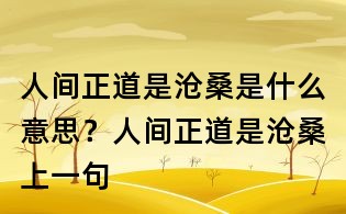 人間正道是滄桑是什么意思?人間正道是滄桑上一句