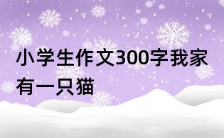 小學生作文300字：我家有一只貓