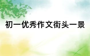 初一優(yōu)秀作文:街頭一景