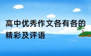 高中優(yōu)秀作文各有各的精彩及評語