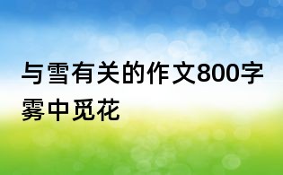 與雪有關的作文800字：霧中覓花